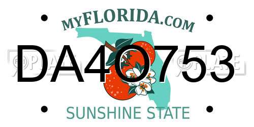 DA4O753 Florida License Plate