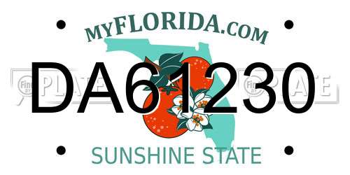 DA61230 Florida License Plate