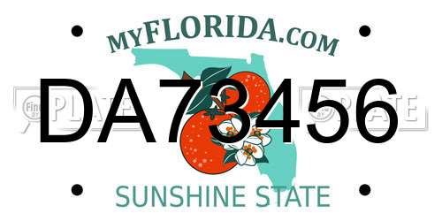 DA73456 Florida License Plate