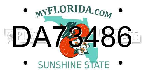 DA73486 Florida License Plate