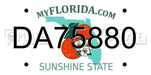 DA75880 Florida License Plate