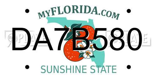 DA7B580 Florida License Plate