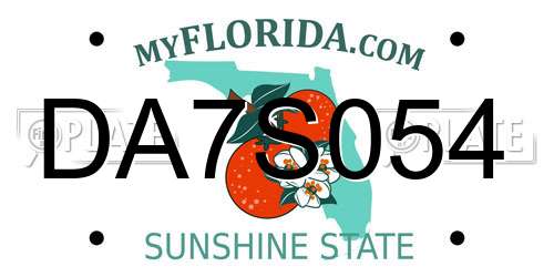 DA7S054 Florida License Plate
