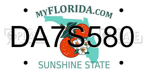 DA7S580 Florida License Plate