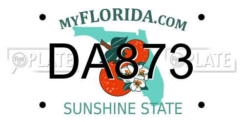 DA873 Florida License Plate
