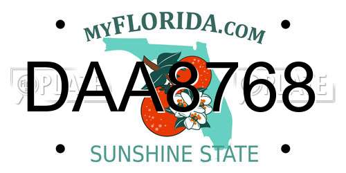 DAA8768 Florida License Plate
