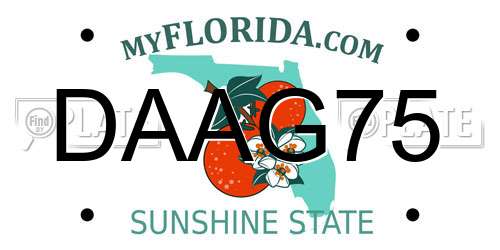 DAAG75 Florida License Plate