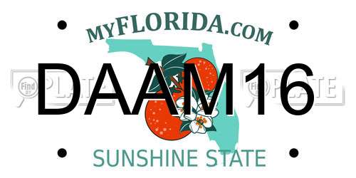 DAAM16 Florida License Plate