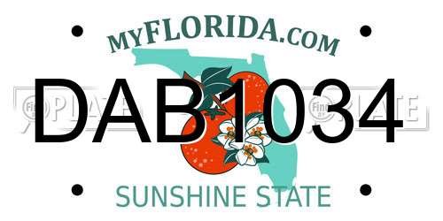 DAB1034 Florida License Plate