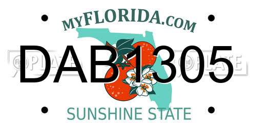DAB1305 Florida License Plate