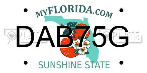 DAB75G Florida License Plate