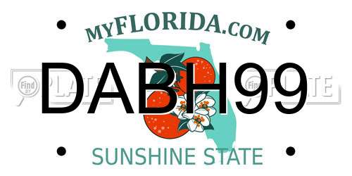 DABH99 Florida License Plate