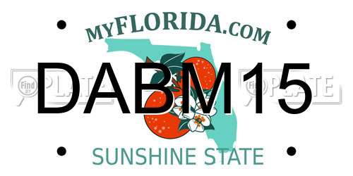 DABM15 Florida License Plate