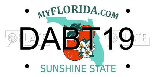 DABT19 Florida License Plate