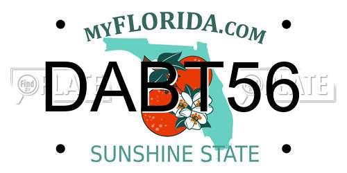 DABT56 Florida License Plate