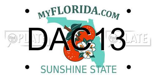 DAC13 Florida License Plate