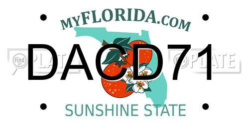 DACD71 Florida License Plate