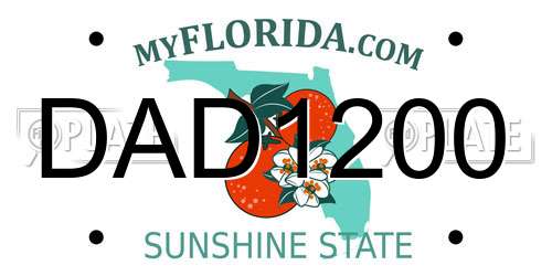 DAD1200 Florida License Plate