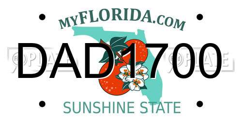 DAD1700 Florida License Plate