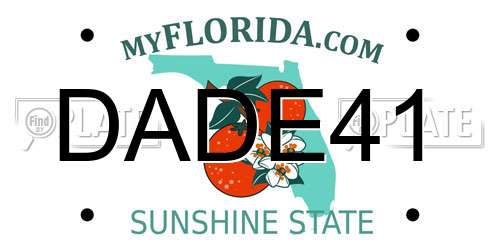 DADE41 Florida License Plate