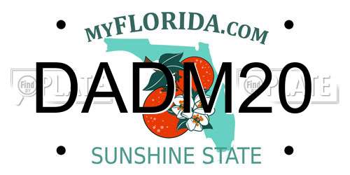 DADM20 Florida License Plate