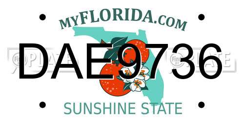 DAE9736 Florida License Plate