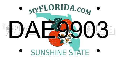 DAE9903 Florida License Plate