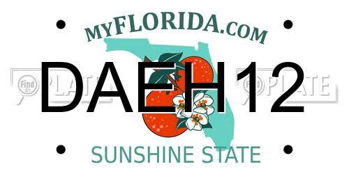 DAEH12 Florida License Plate