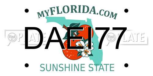 DAEI77 Florida License Plate