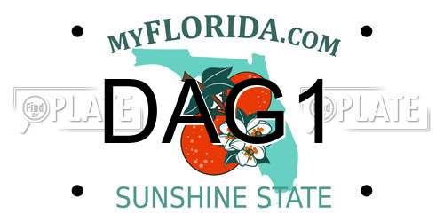 DAG1 Florida License Plate