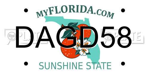 DAGD58 Florida License Plate
