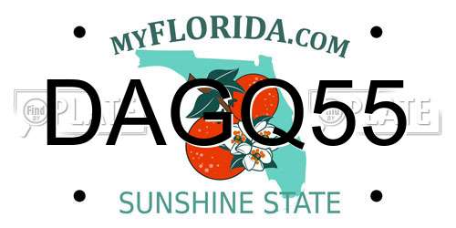 DAGQ55 Florida License Plate
