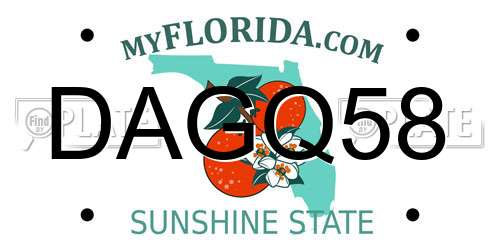 DAGQ58 Florida License Plate