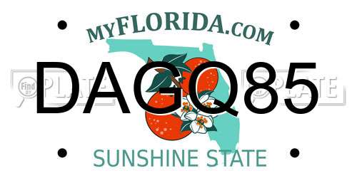 DAGQ85 Florida License Plate