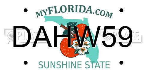 DAHW59 Florida License Plate
