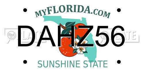 DAHZ56 Florida License Plate