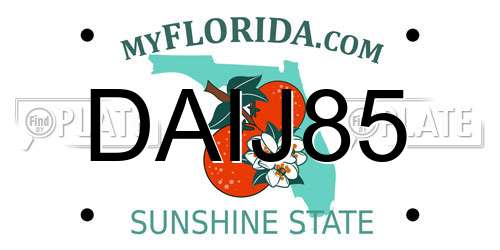DAIJ85 Florida License Plate