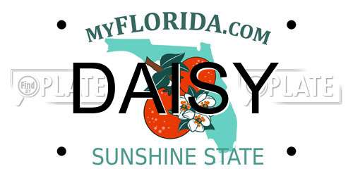 DAISY Florida License Plate