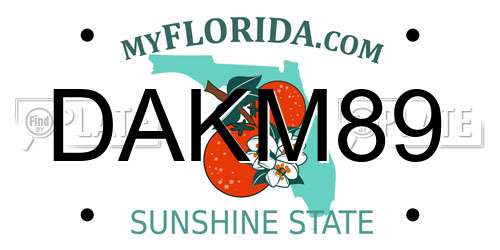 DAKM89 Florida License Plate
