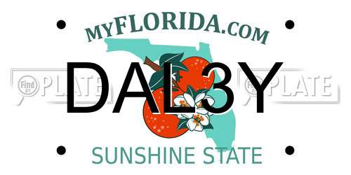 DAL3Y Florida License Plate