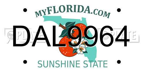 DAL9964 Florida License Plate