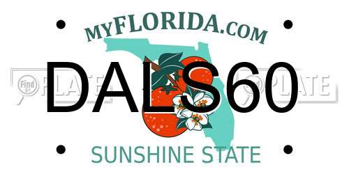 DALS60 Florida License Plate