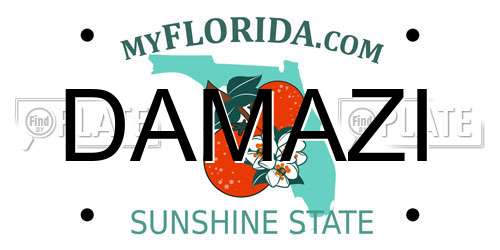 DAMAZI Florida License Plate