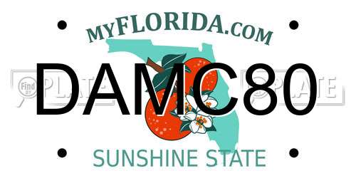 DAMC80 Florida License Plate