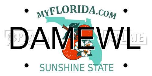 DAMEWL Florida License Plate