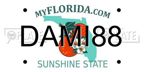 DAMI88 Florida License Plate