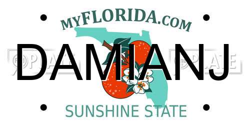 DAMIANJ Florida License Plate