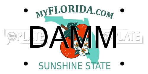 DAMM Florida License Plate