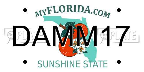 DAMM17 Florida License Plate