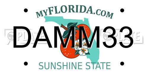 DAMM33 Florida License Plate